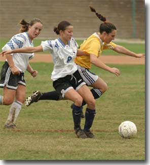 Ponytail in flight - click to see more pictures