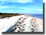 Beach Haven - click to learn more