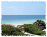 Debbe Wibberg, Realtor, Port St. Joe, Cape San Blas, St. George Island Apalachicola Florida - click to visit the site