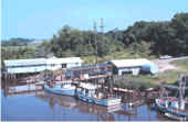 Darien shrimp boats - click for big picture