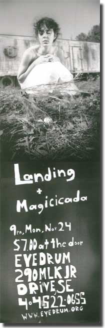Landing and Magicicada