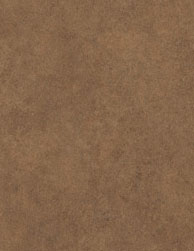 Wilsonart Laminate 4796-60 "Burnished Chestnut." 