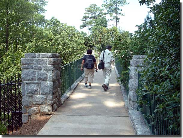 Flower Bridge 